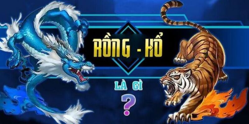 Rồng hổ DA88 giới thiệu